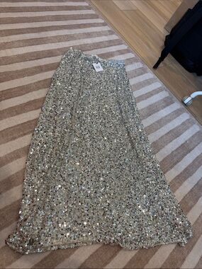 Hand over silver sequin maxi skirt! Never worn! With tag!